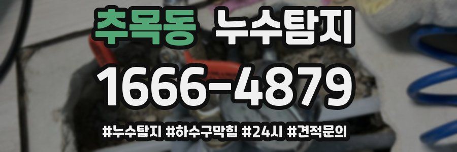 누수닥터 누수탐지