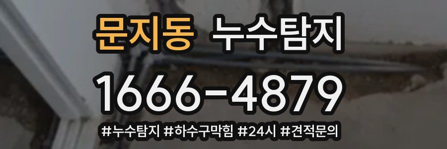 누수닥터 누수탐지