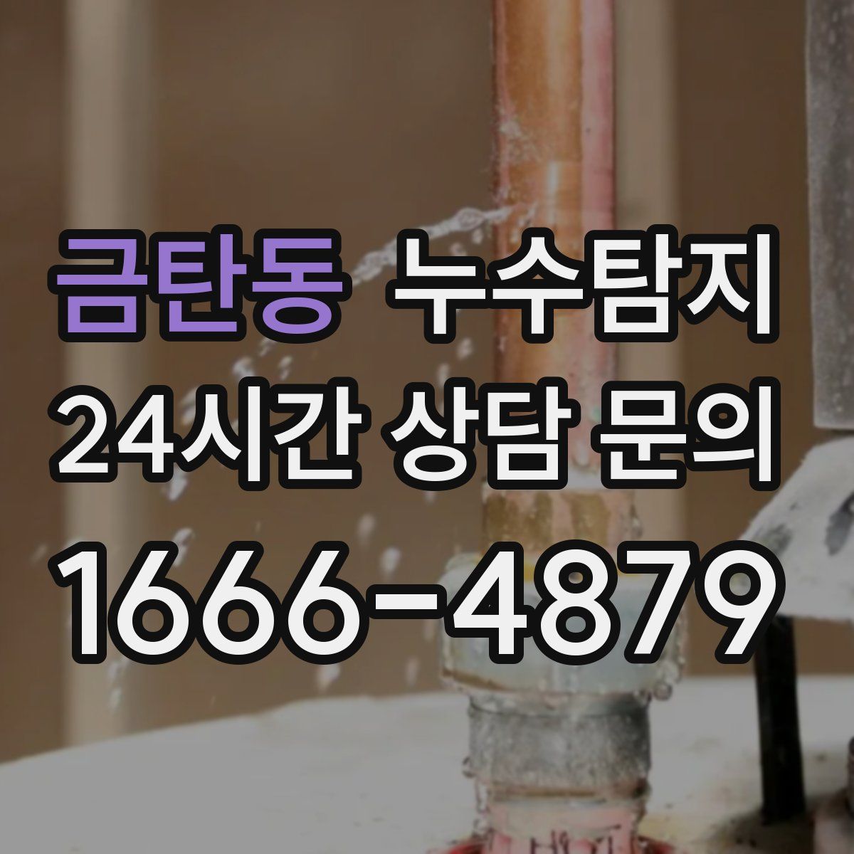 누수탐지