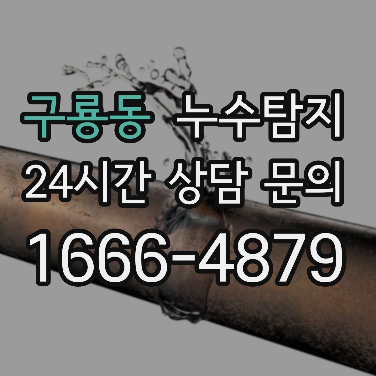 누수탐지