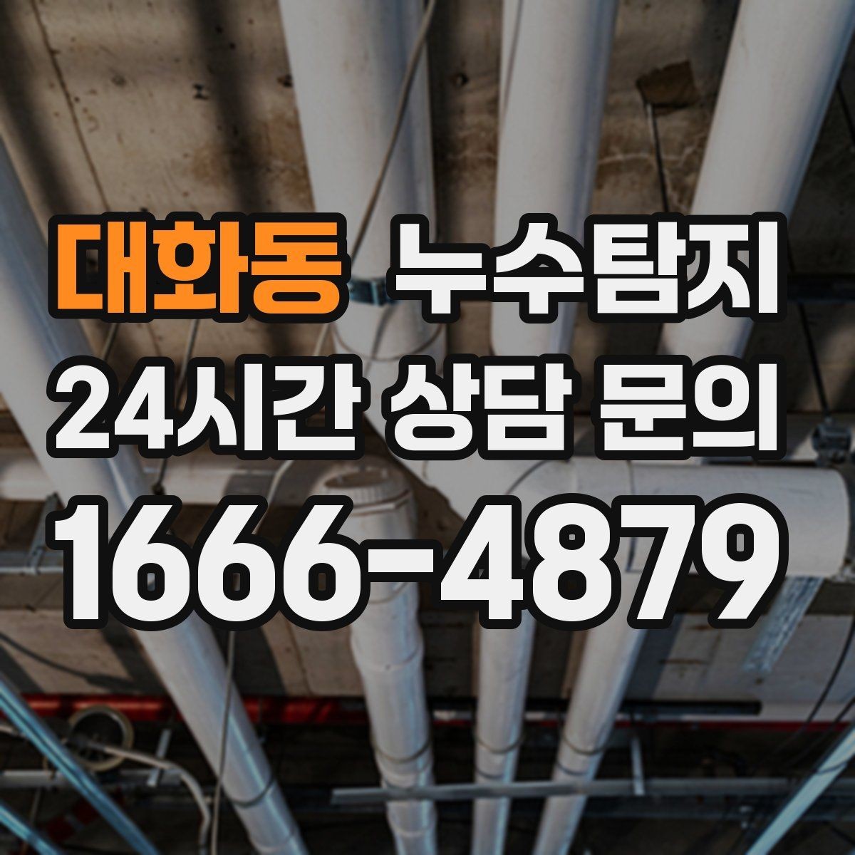 대화동 누수탐지 천정 점검구 활용 빠른 판정