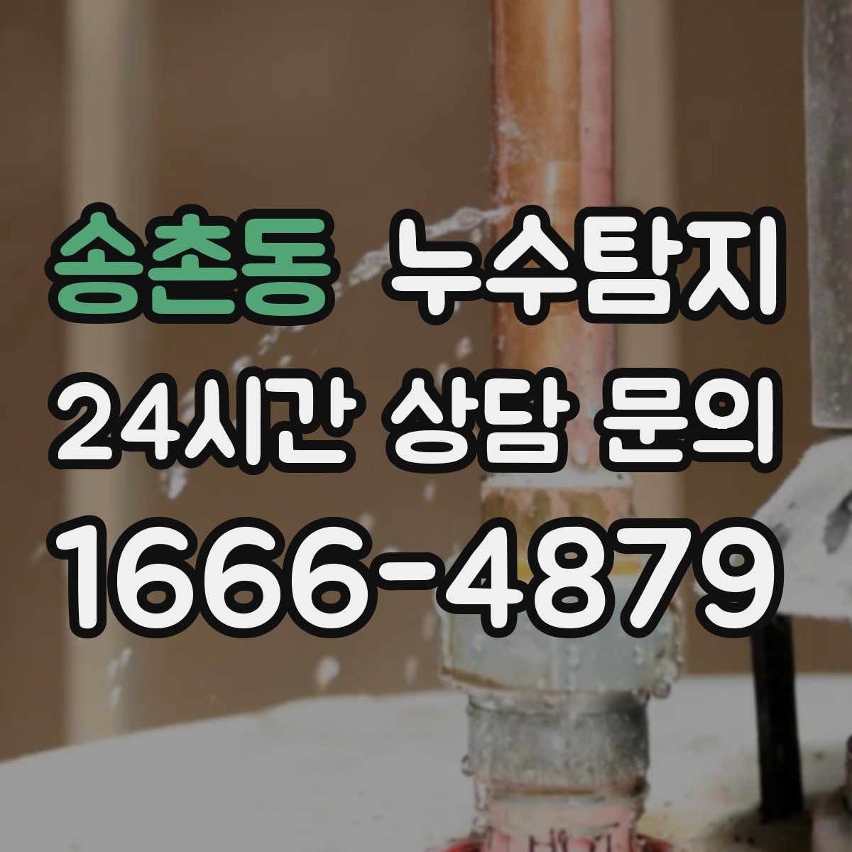 송촌동 누수탐지 합리적인 비용으로 문제를 해결하세요
