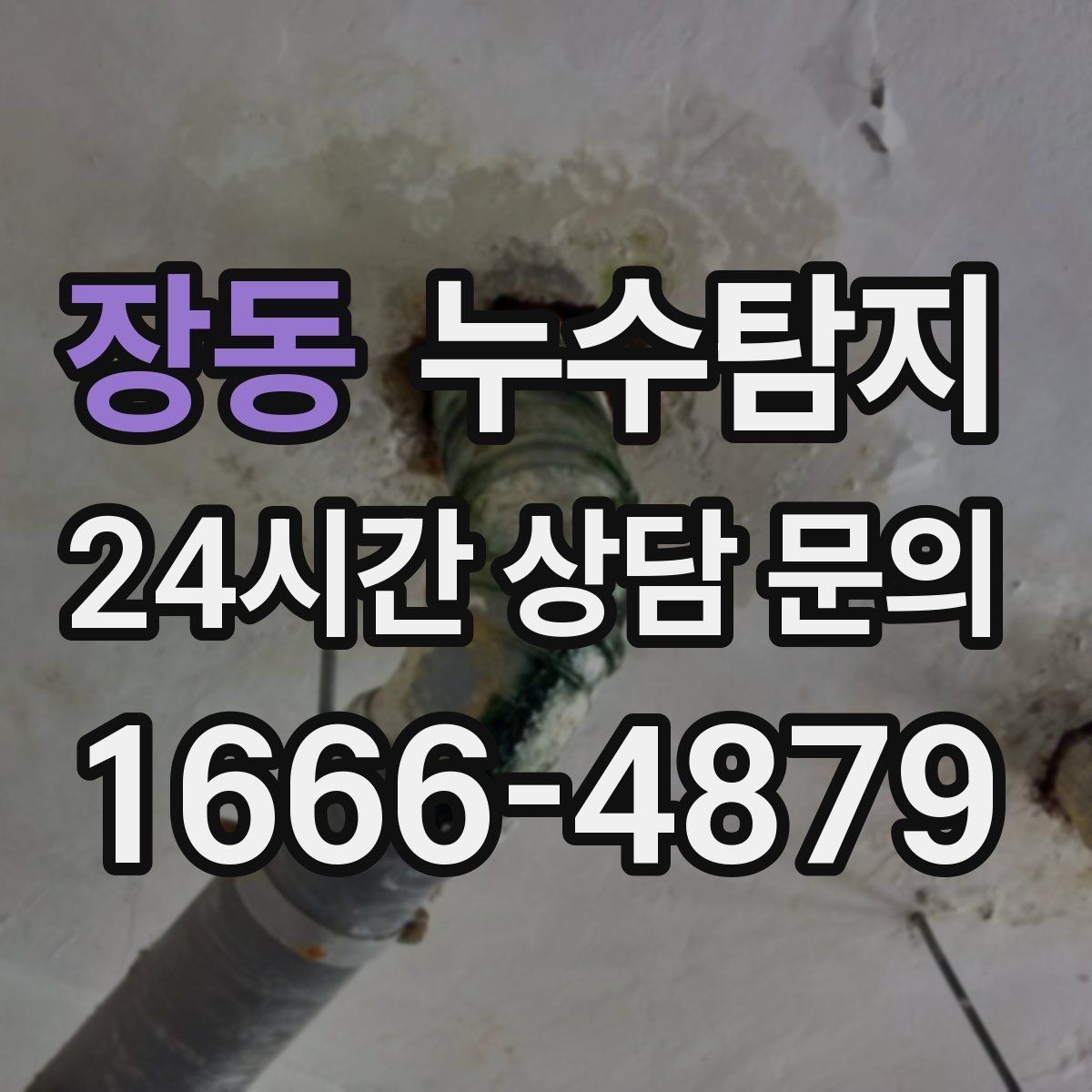 누수탐지