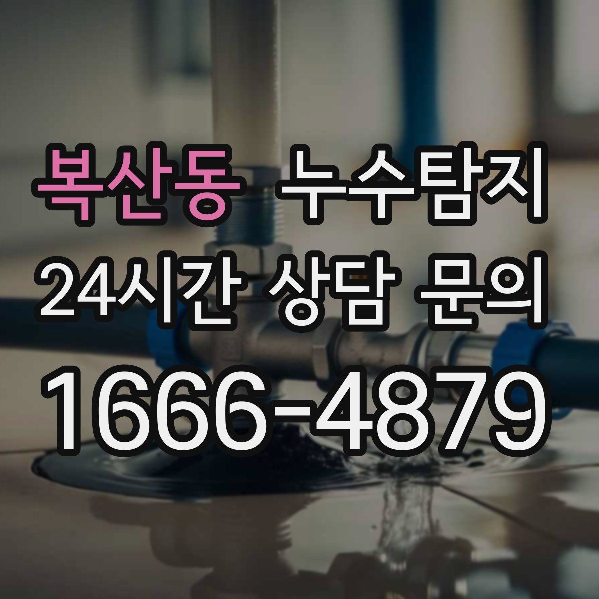 누수탐지