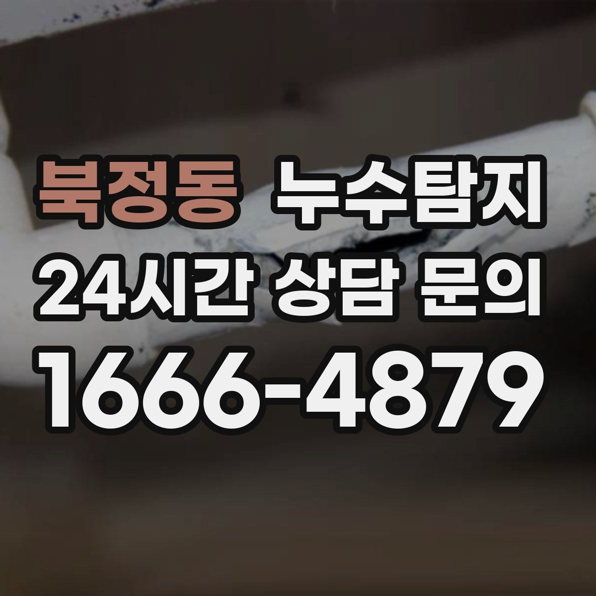 북정동 누수탐지 창고 곰팡이 제거와 재발 방지
