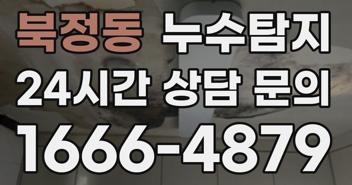 하수구막힘