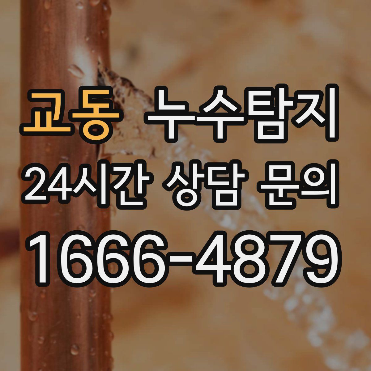 누수탐지