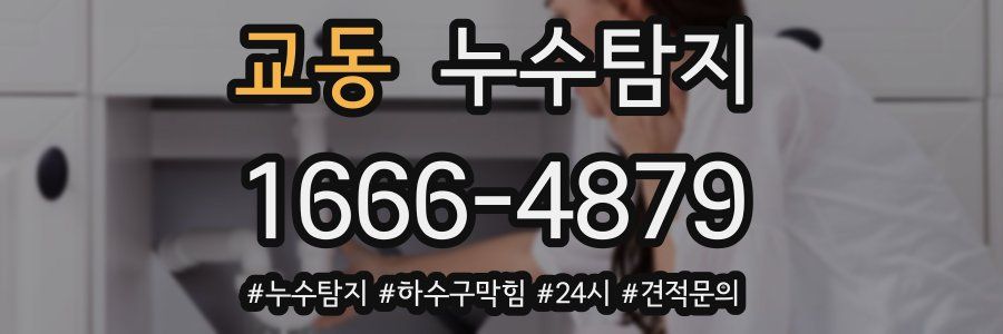 누수닥터 누수탐지