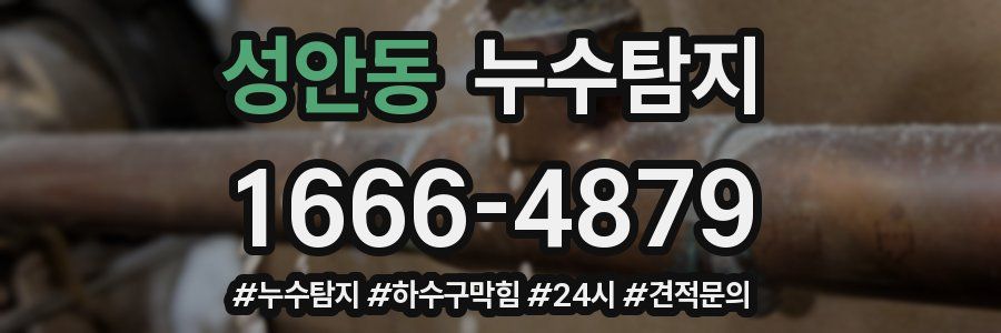 누수닥터 누수탐지