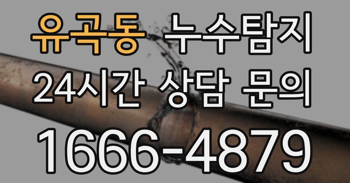 하수구막힘