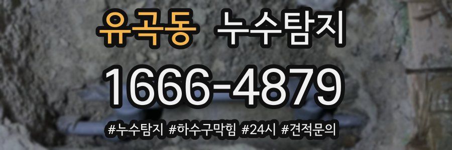 누수닥터 누수탐지