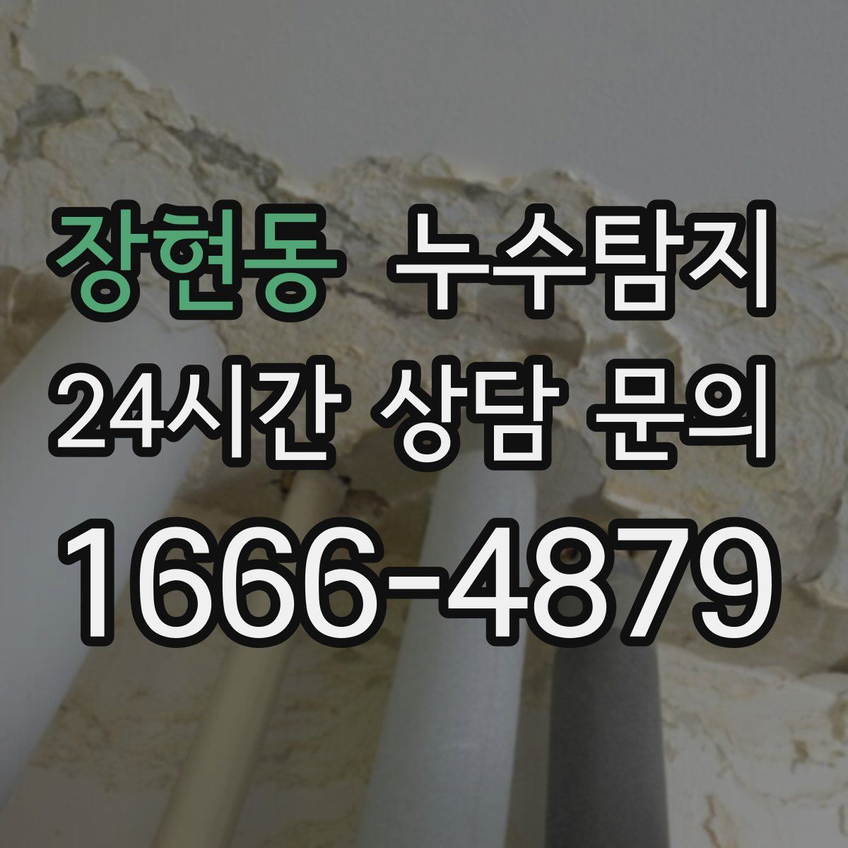 누수탐지