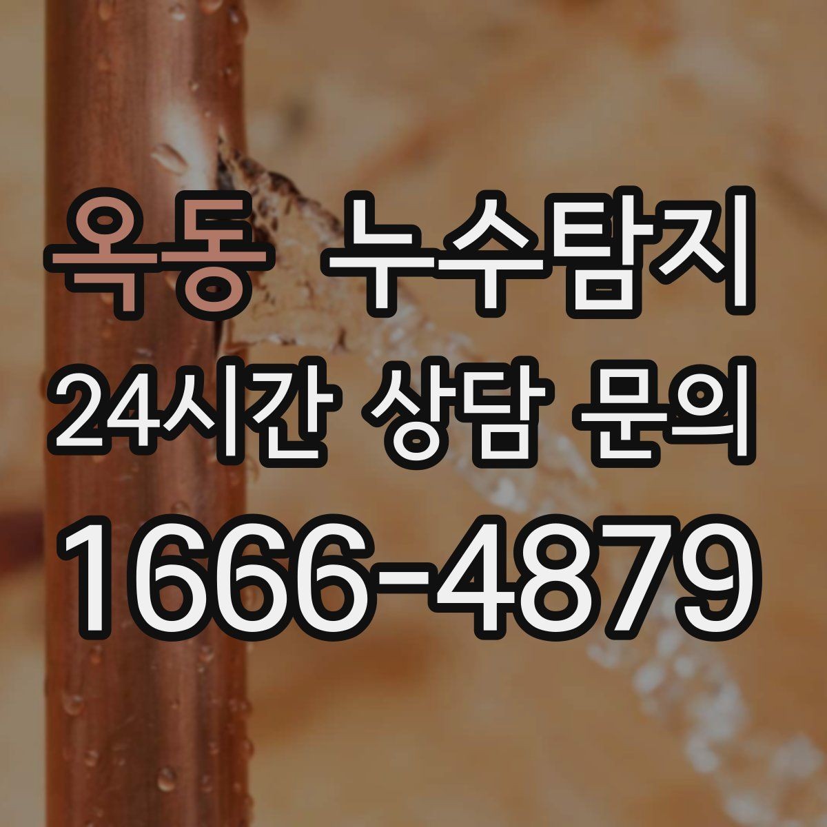 옥동 누수탐지 빠른 대처가 비용을 줄인 사례
