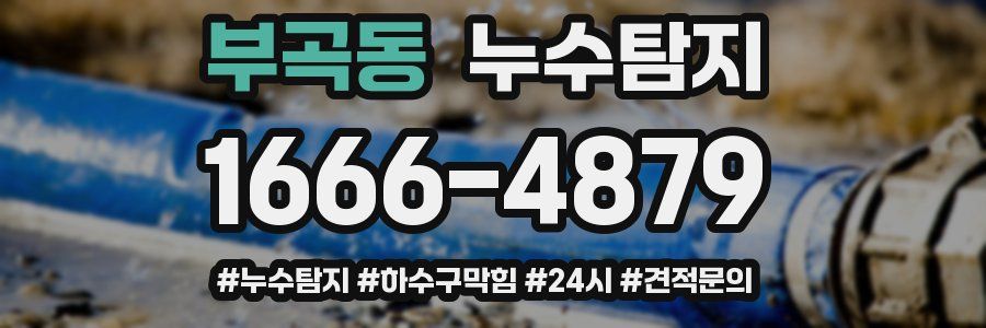 누수닥터 누수탐지