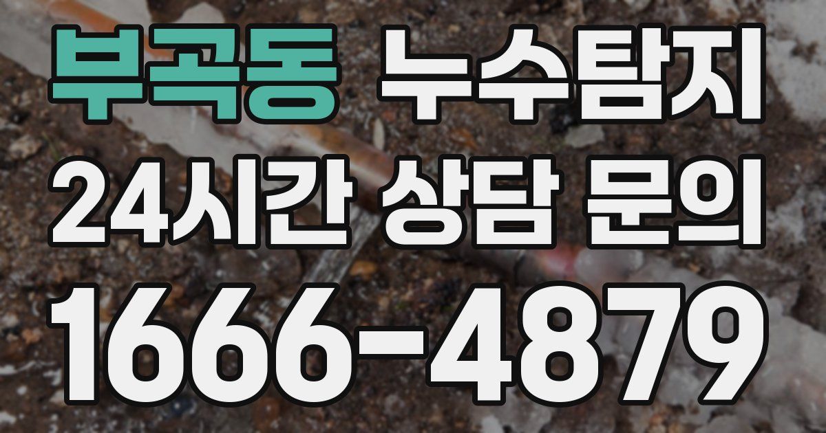 하수구막힘