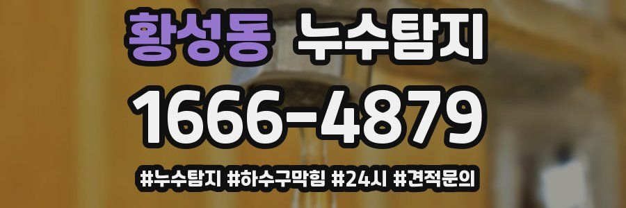 누수닥터 누수탐지