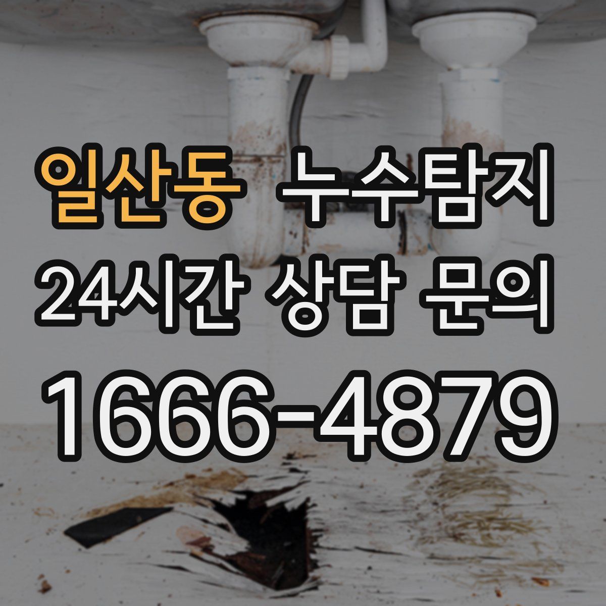 누수탐지