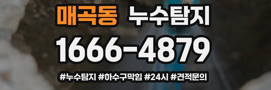 누수닥터 누수탐지