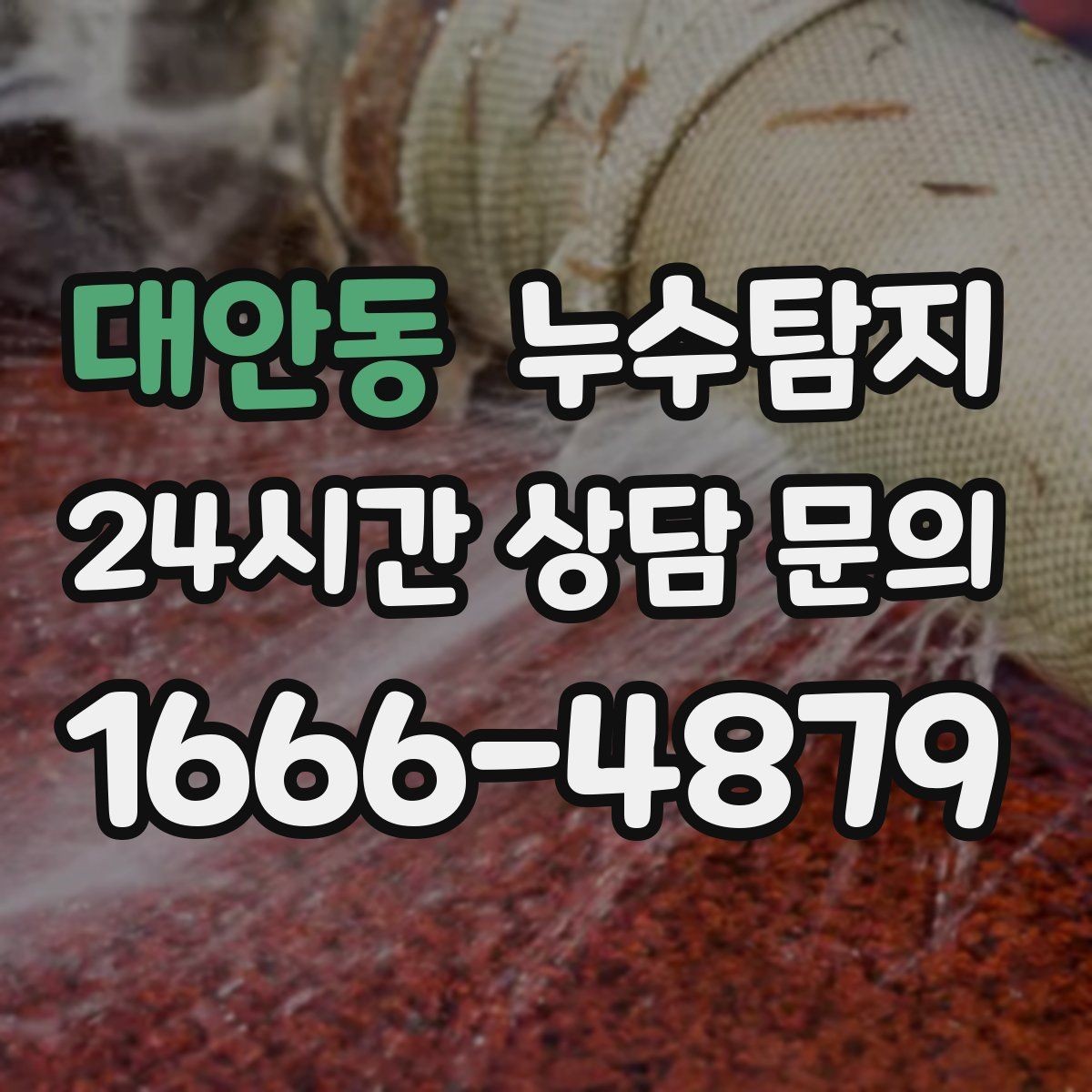 대안동 누수탐지 아이 방 벽체 얼룩 해결