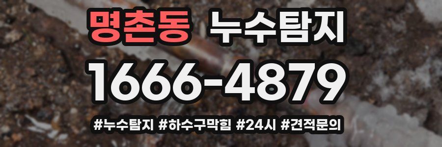 누수닥터 누수탐지