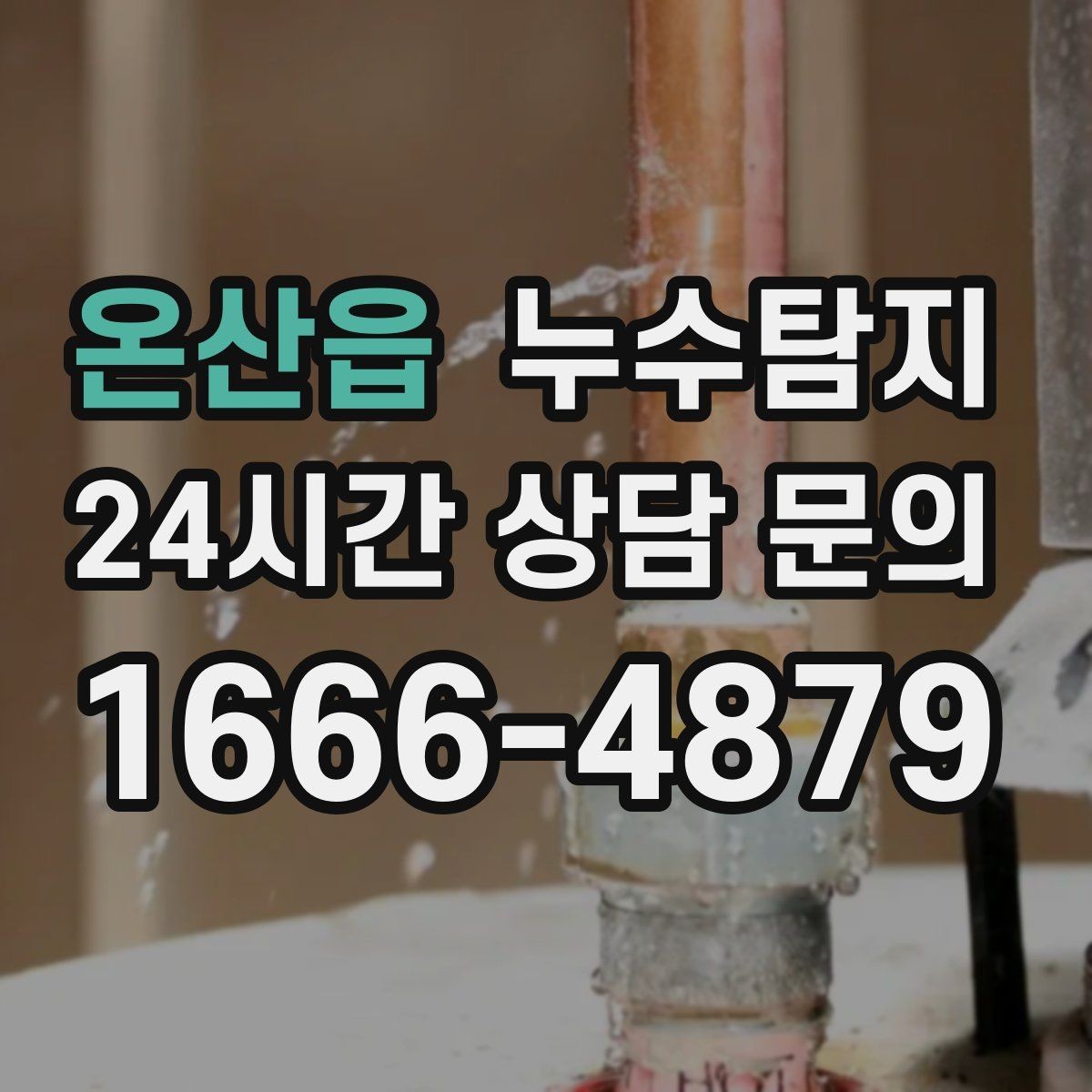 온산읍 누수탐지 방수 하자 판정과 보수 선택기