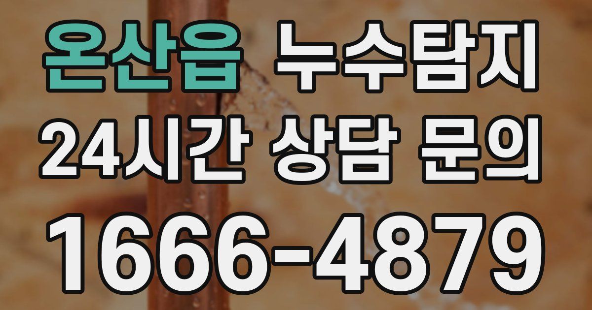 하수구막힘