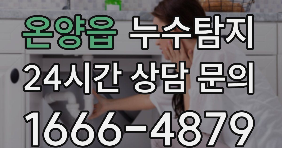 하수구막힘