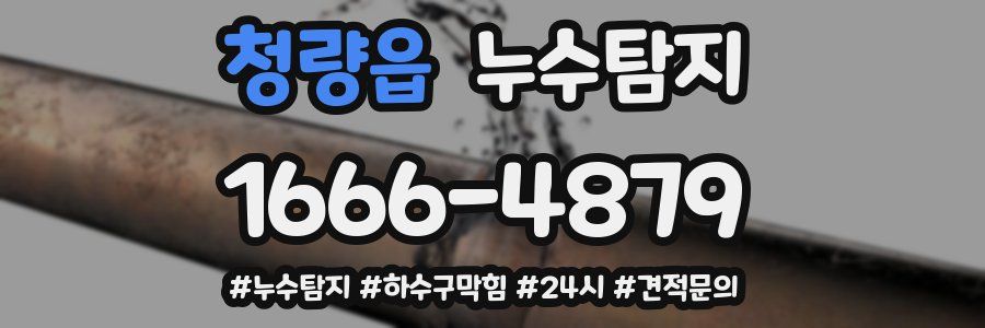 누수닥터 누수탐지