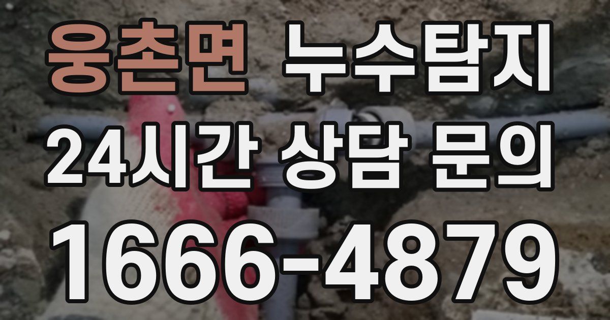 하수구막힘
