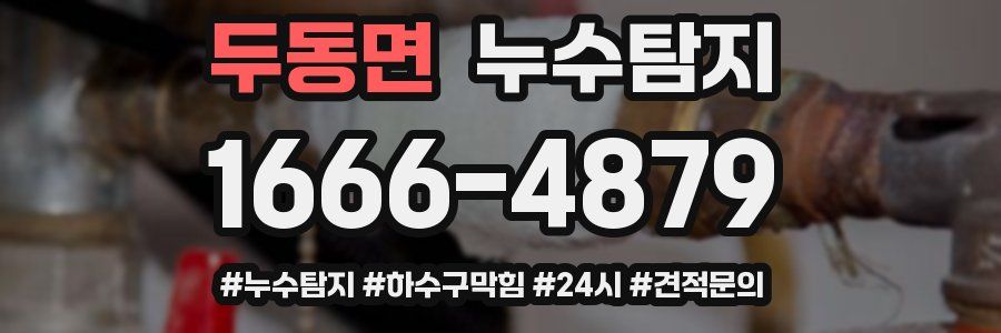 누수닥터 누수탐지