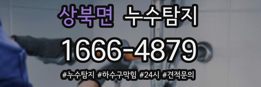 누수닥터 누수탐지