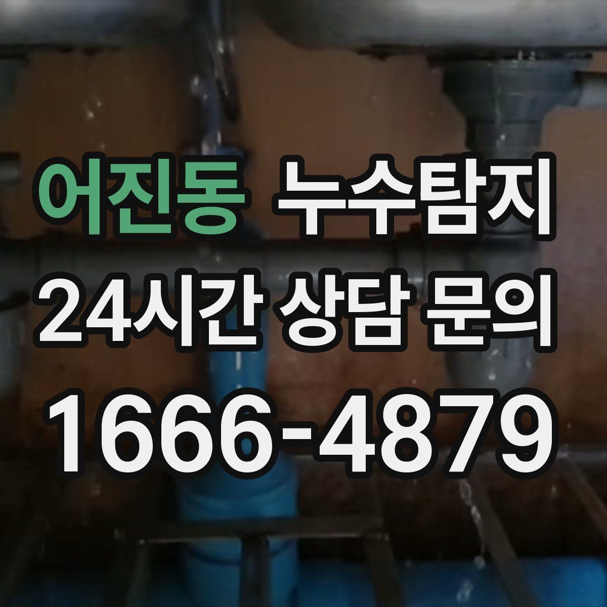 어진동 누수탐지 하부장 곰팡이 정리하고 재발 방지