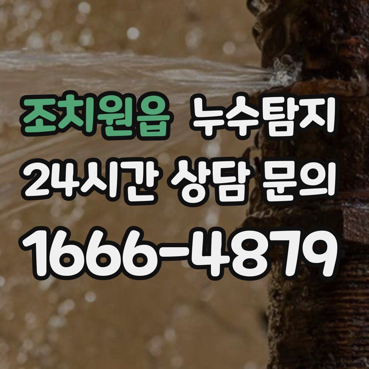 조치원읍 누수탐지 우리집 물자국 원인부터 해결까지