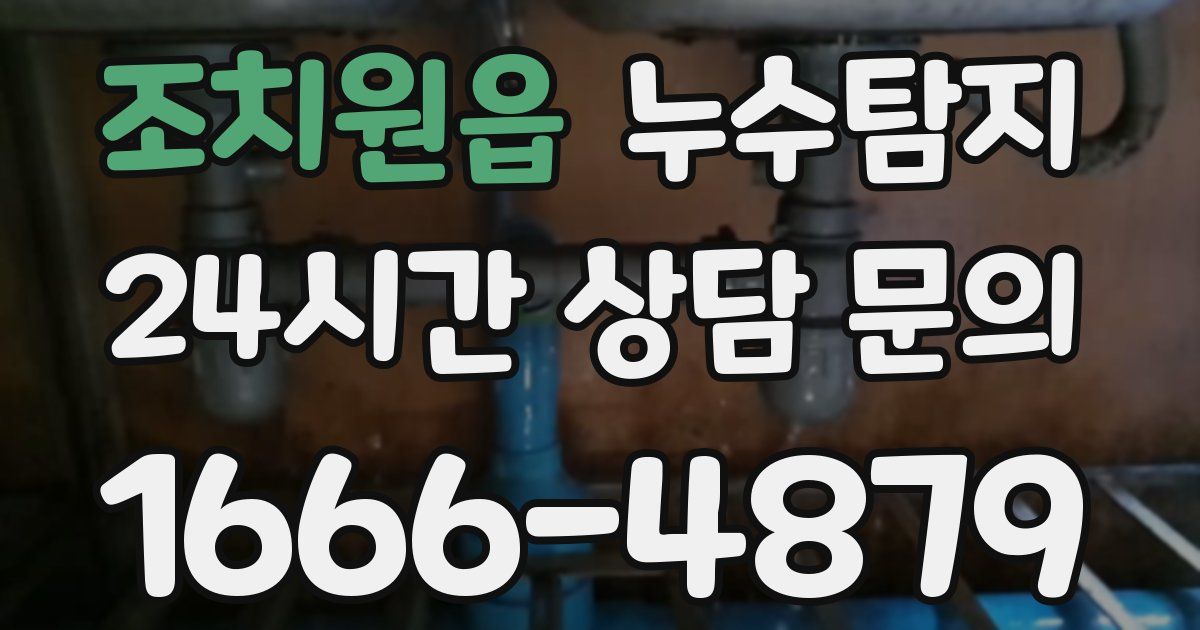 하수구막힘