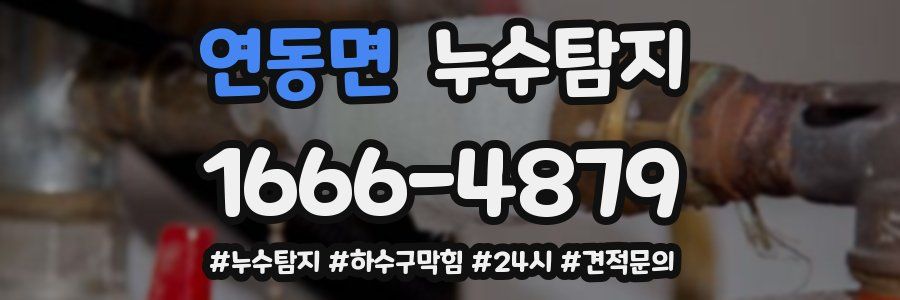 누수닥터 누수탐지