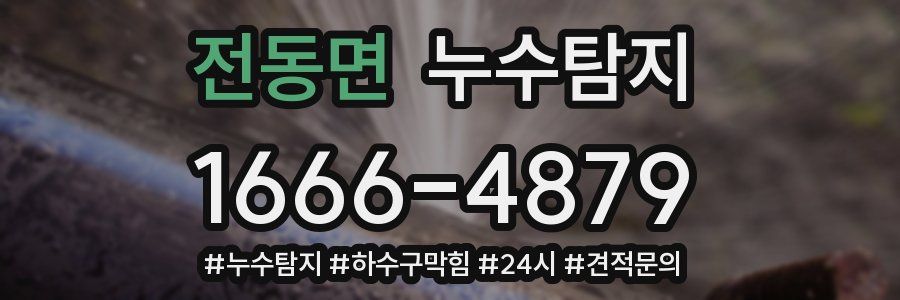누수닥터 누수탐지