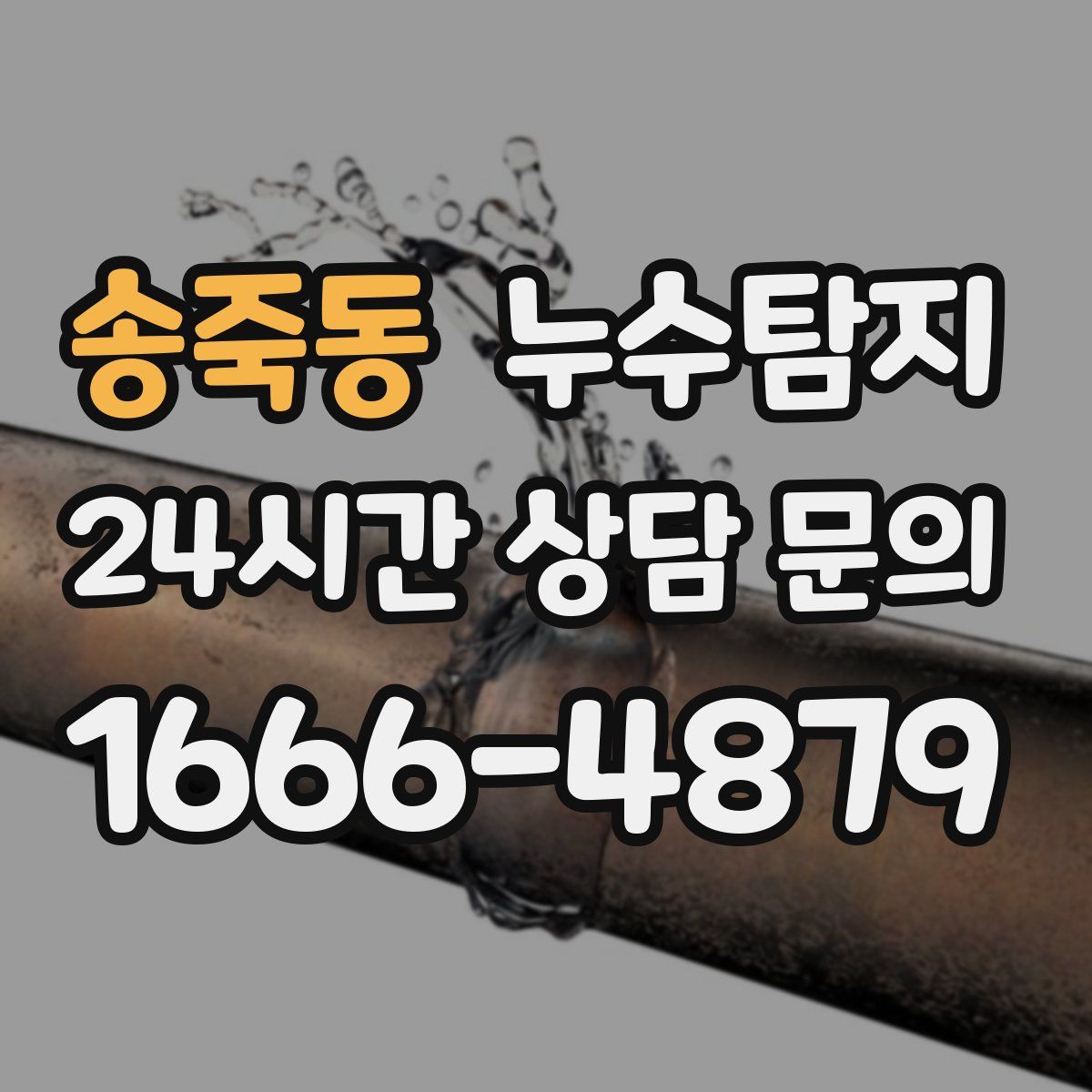 누수탐지