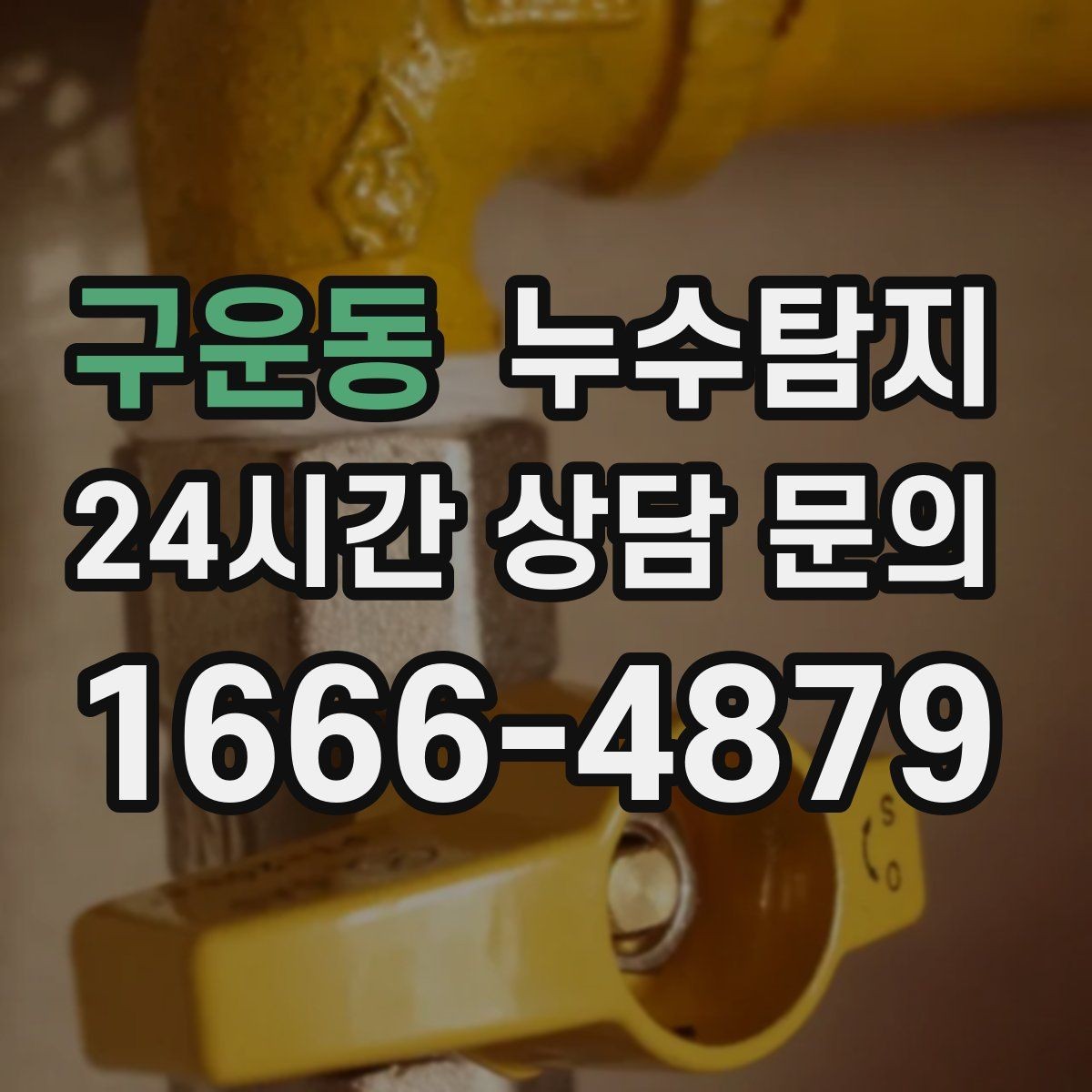 구운동 누수탐지 천장 얼룩 원인 추적