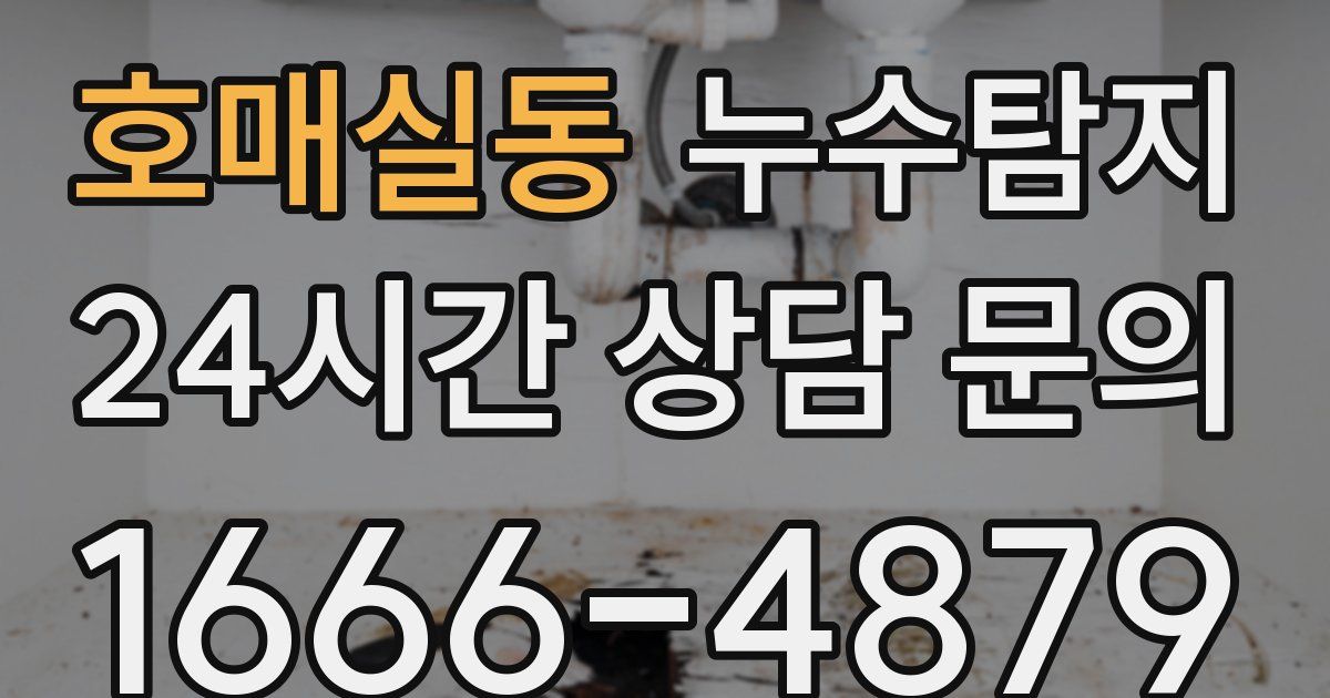 하수구막힘