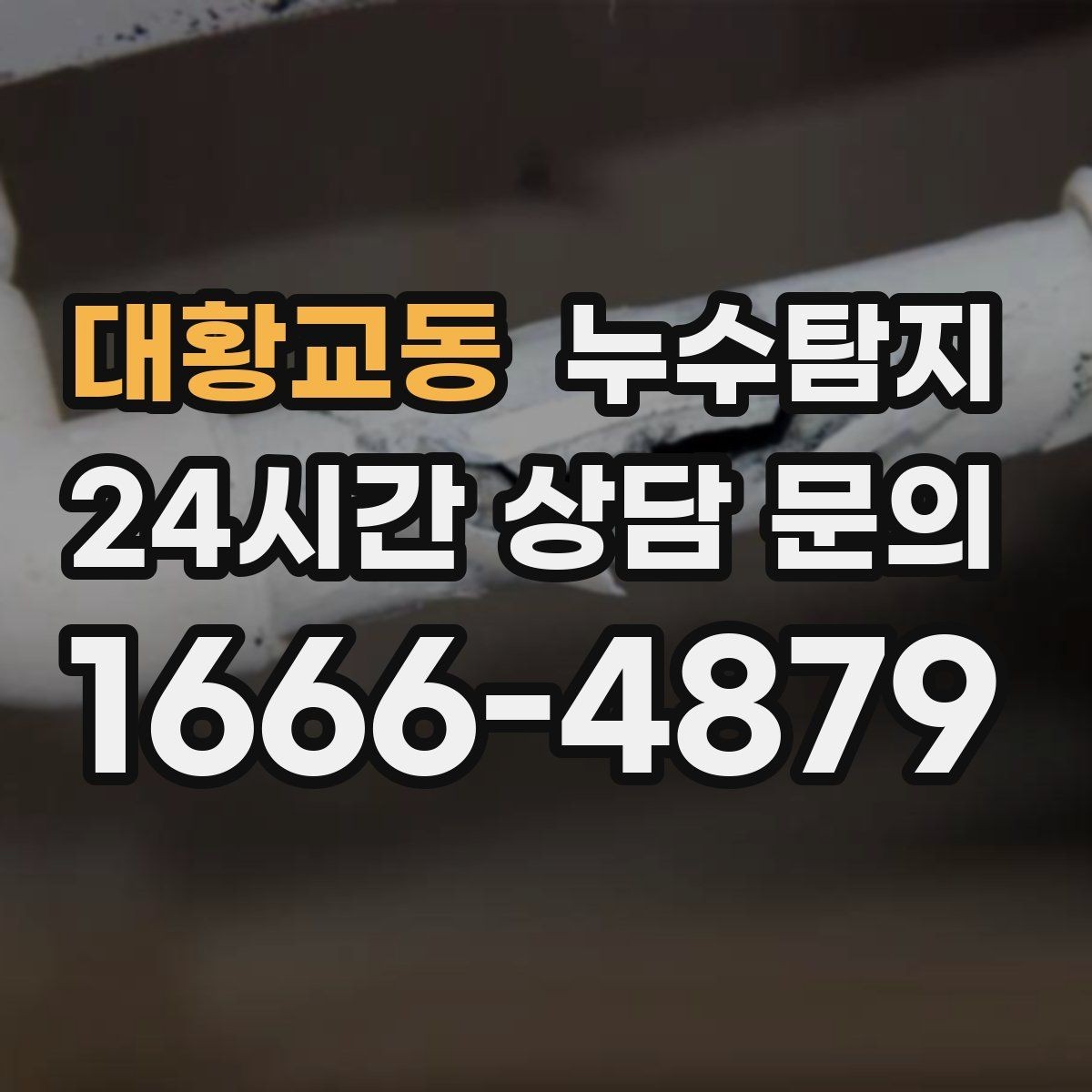 대황교동 누수탐지 눈에 안 보이는 누수 정확한 데이터로 해결하세요
