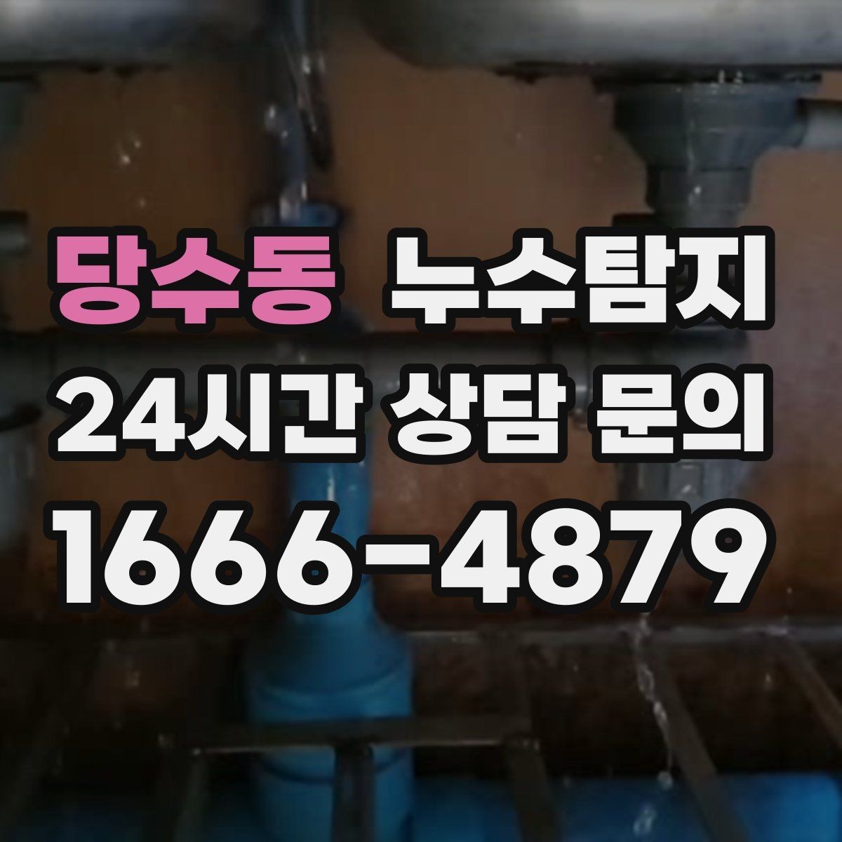 당수동 누수탐지 전문 진단 서비스
