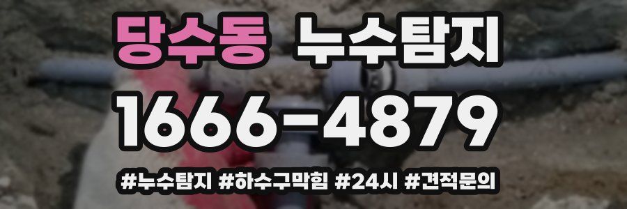 누수닥터 누수탐지