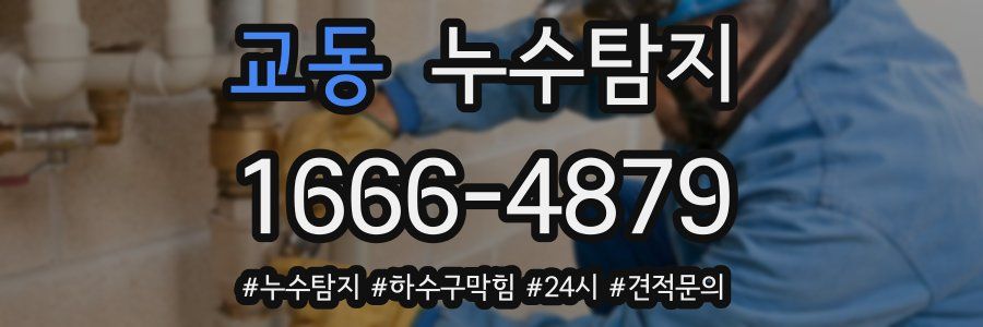 누수닥터 누수탐지