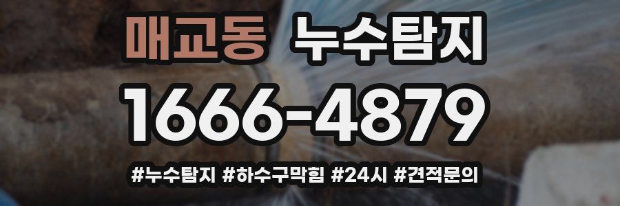 누수닥터 누수탐지