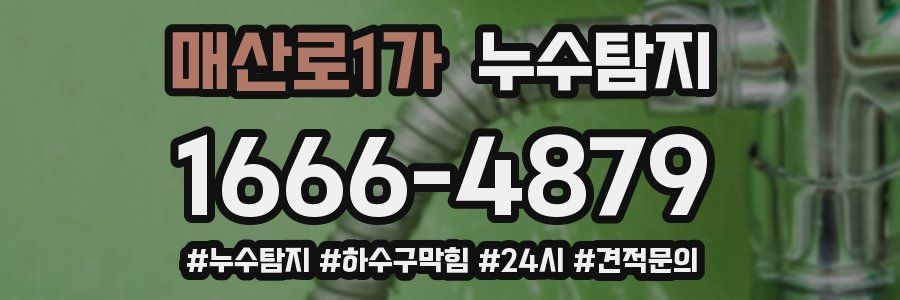 누수닥터 누수탐지