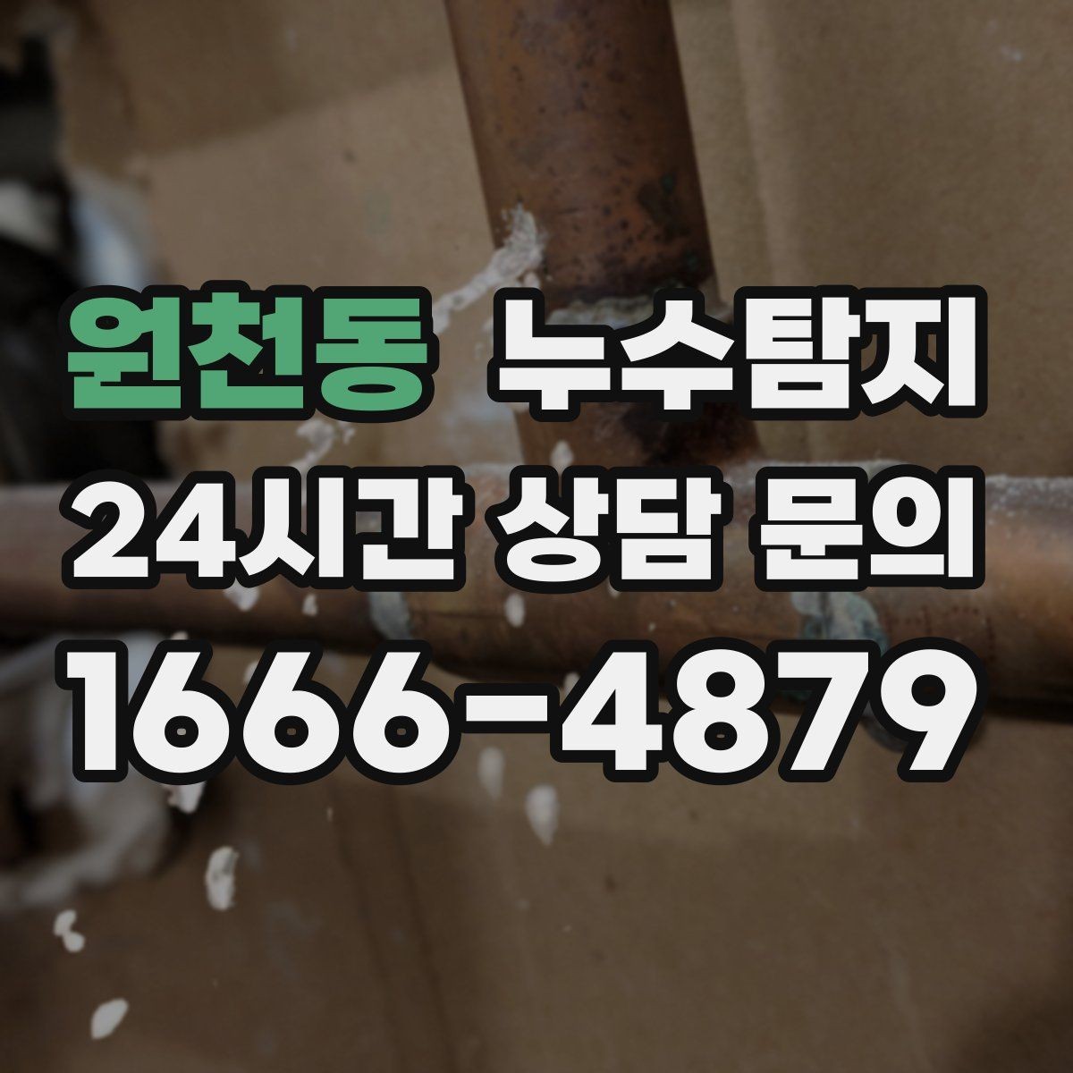 원천동 누수탐지 공실 관리 정기 점검 운영기