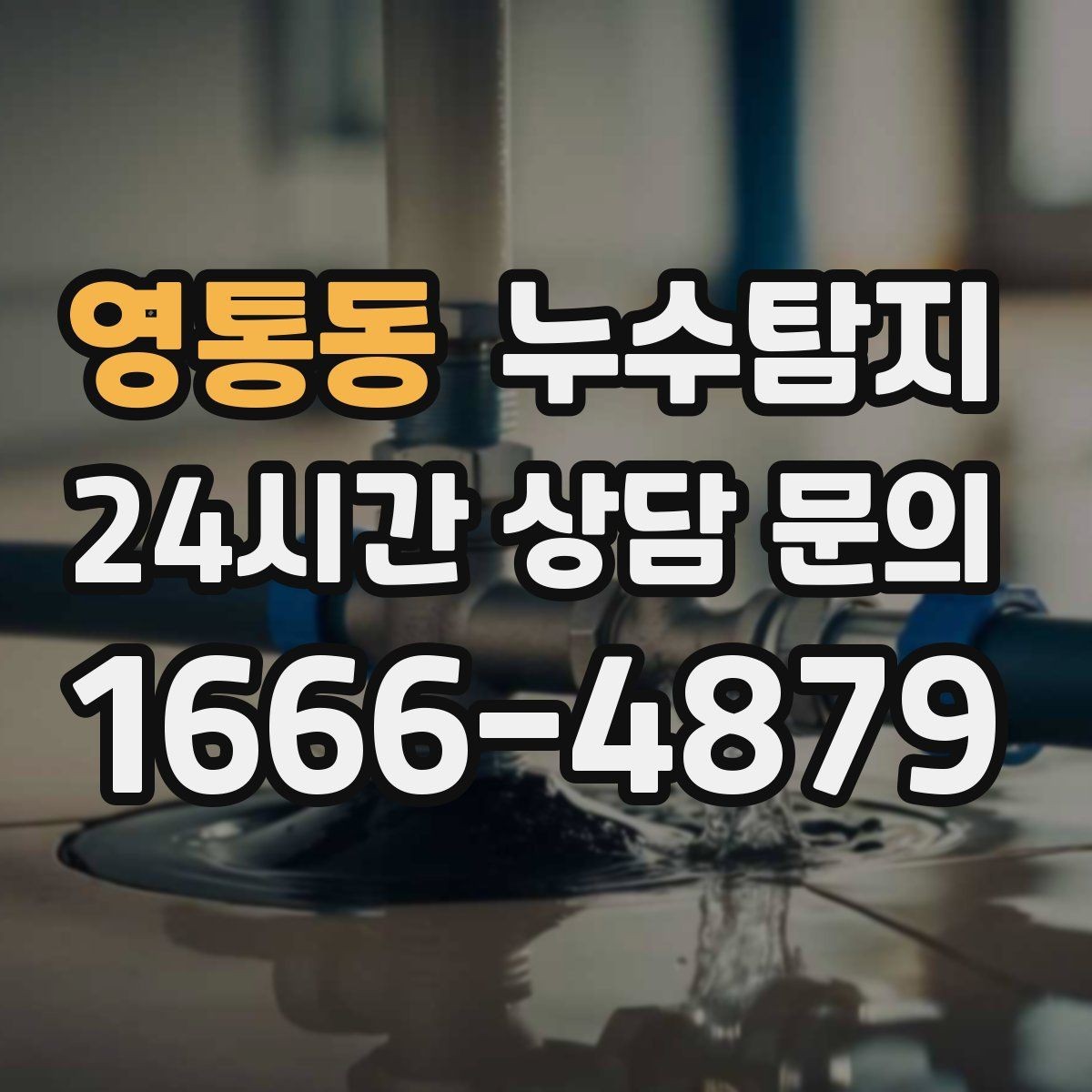 영통동 누수탐지 욕실 곰팡이 사라진 해결 과정