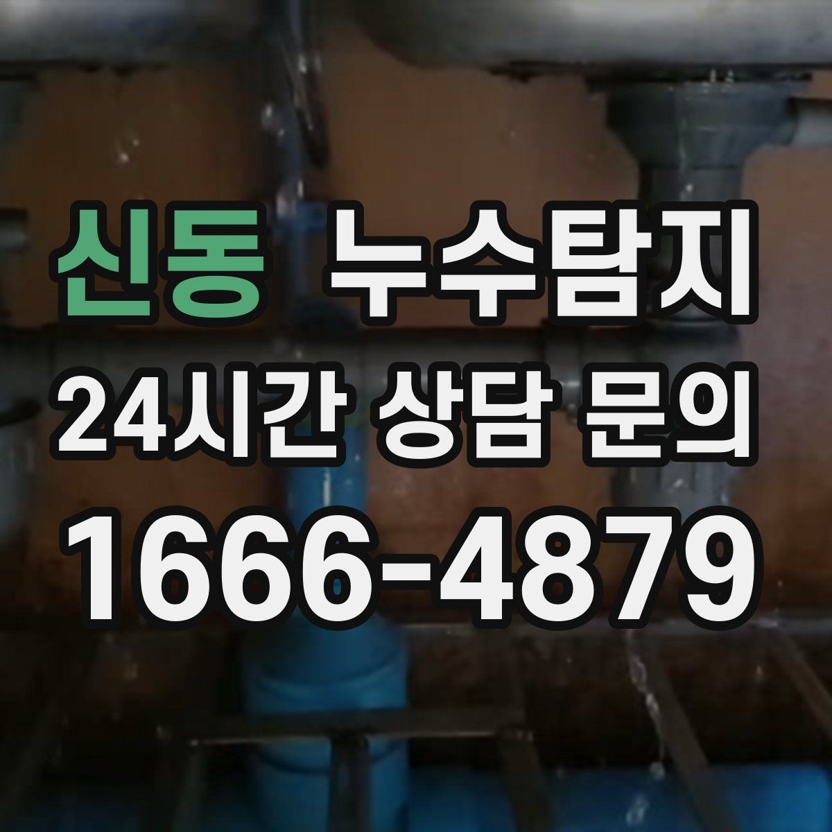 신동 누수탐지 상가 영업 중 조용한 점검기