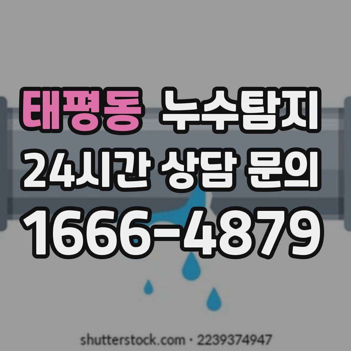 태평동 누수탐지 아이와 반려동물을 위한 안전 점검