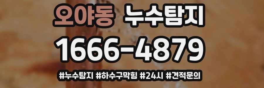 누수닥터 누수탐지